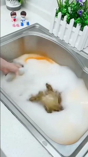 Portable Turbine Ultrasonic Washing Machine