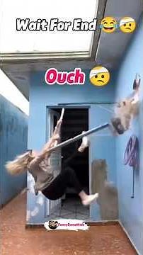 Try not to laugh challenge 😂#epicfails #funny #hilariousfails #shorts#memes #funnyshorts #fun‎