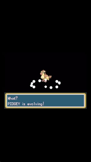 Pokemon FireRed: My PIDGEY evolved into PIDGEOTTO 🐦