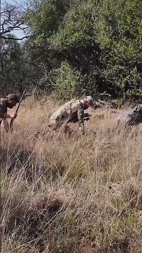 Bowtech Virtue, NOW IN 80LBS