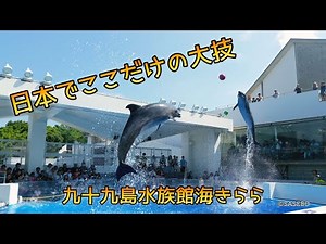 日本でここのイルカしか出来ない大技 イルカショー 海きらら A dolphin show where you can show off your amazing skills