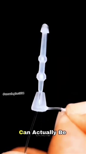 Discover Amazing Facts About Everyday Life