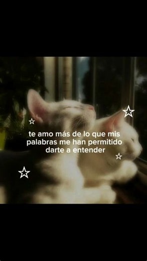 Sebas Martínez on Instagram: "