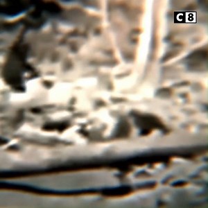 Des scientifiques auraient la preuve que l’abominable homme des neiges existe vraiment ! Pour connaitre l’incroyable vérité, regardez Enquête Paranormales en replay sur myCANAL ➡ can.al/3b40e | C8