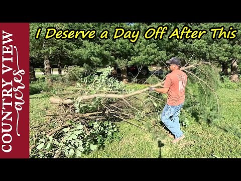 I wanted to do this for a few years. It looks so much better now.