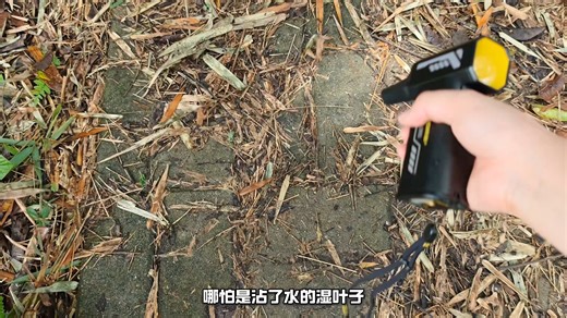 第12集-物尽其用！暴力风扇也有户外玩法！奈特科尔CW20#户外#露营#暴力风扇#测评#摄影器材-7532103110333107513