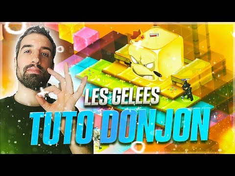 TUTO DONJON : Le Donjon Gelée (lvl 110)
