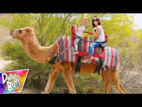 24 HOURS IN A DESERT! - Kids First Camel Ride! 🐫 🌵