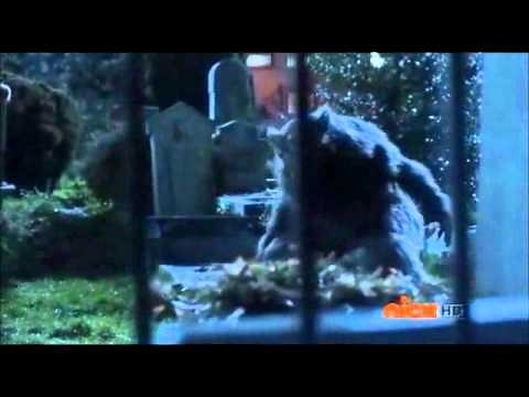 The Boy Who Cried Werewolf- Thriller