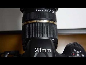 TAMRON SP AF 28-75mm F/2.8 XR Di LD Aspherical [IF] MACRO (A09)AFスピード (D800)