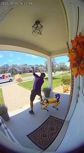 Delivery Driver SCREAMS At Dancing Robot Dog 😂