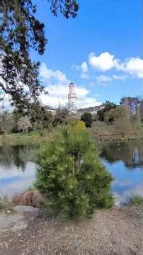 Park near the Homburg Palace.
