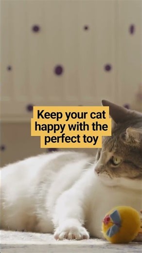 Top Picks from Our Shopify Store