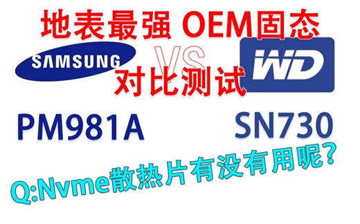 【FlashyTech】SN730 VS PM981A 512GB版本对比实测