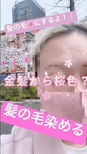 #ハイトーン #ハイトーンカラー #ピンクヘア #ブロンド #さやかす #美容室 #中目黒 #中目黒ヘアサロン #お花見 #雨の日 #ヘアスタイル #髪の毛 #ヘアカラー #ブリーチヘア