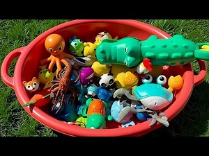 Learn Ocean Animals with TOYS! Sea Creature Names & Fun Facts for Kids