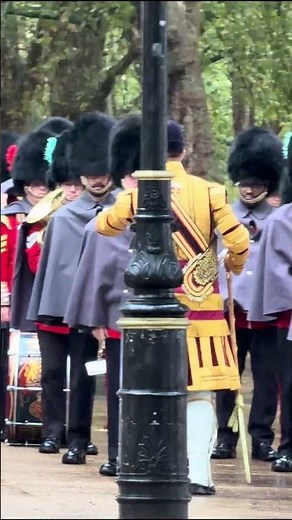 🐎🎖️ Respect & Honour! Royal marching band Serving in the Downpour#shorts