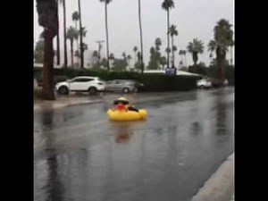 Vancouver man's giant rubber ducky video goes viral  | News