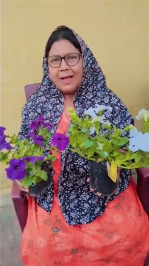 #flowers🌺🌺🌺🌺🌹🌺#vlogs #trending #fruit #funny