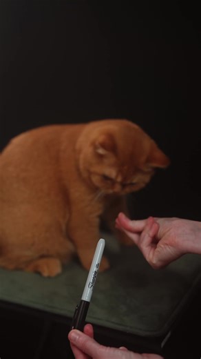 Marker Vanish #magic