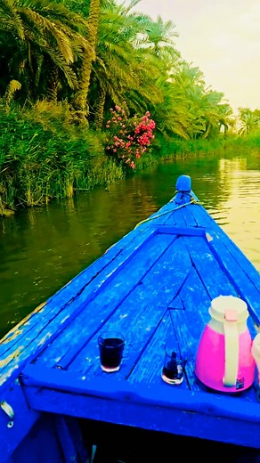 دائما ردد لا إله إلا الله..! 🙏♥️ #الوائلي #livemusic #watercolor #trees #kids #like | Ameer ghany
