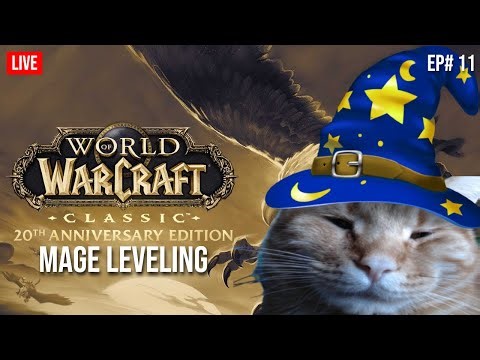 CAT STREAMING World of Warcraft Classic Anniversary | Spineshatter (PvP) | Frost Mage Leveling Ep 11