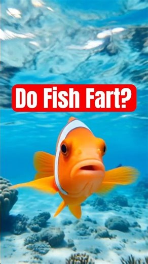Do fish fart?#fish #sciencefacts #wildlife #shorts
