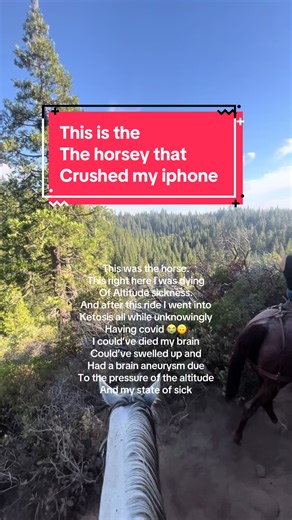 Here is me fighting for my life on a 2 hour se horse ride. I legit felt like I was drunk I felt nauseous, I felt like my whole body was cramping. I had fatigue where my neck and the base of my skull met felt sooo much pressure. But but it was beautiful 🤩 #sick in Yosemite