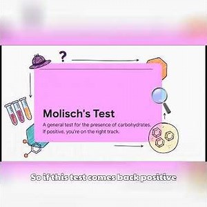 The Test Every Biochem Student Must Know | Carbs–Color–Confirmation 💡🧪
