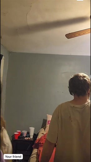 What an odd rabbit hole I have fell into | rabbit hole