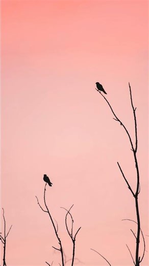 nagpuri #song 🤩 old hit song #nagpurisong #trending 🔥🔥