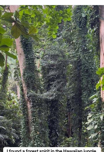 Discovering a Forest Spirit in the Hawaiian Jungle