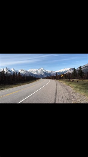 TikTok · MrBanff