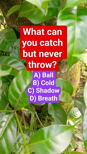 What can you catch but never throw?