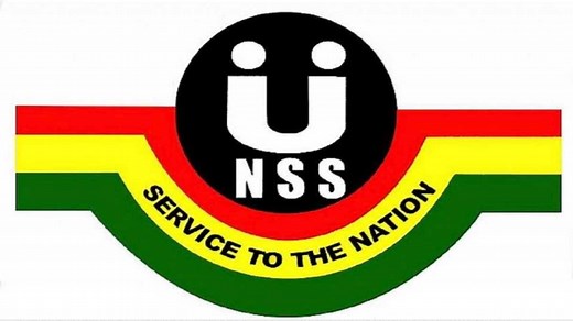 The NSS enrollment requirements, registration steps, and portal login