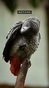 Photo Editing Tips ↓ • Shoot & Edit ✍🏼 Get the settings right in camera first / the composition. Always shoot in RAW so you have more in depth editing options. • Light 💡 Good lighting captures more detail and gives you more to improve your photos while editing. This is because good lighting makes each pixel in your photo easier to edit. Make sure your photos are captured in well-lit environments. • Colour 🎨 Changing color tones in post production When editing a photo you might adjust the orig