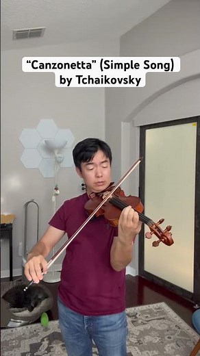 Tchaikovsky Violin Concerto, “Canzonetta”