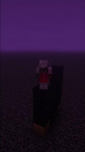 DON'T DO THIS ON THE NETHER ROOF