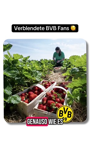 Timo Werner und die HSV: Eine neue Ära im Fußball