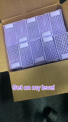 Purple Squishy: A Humorous Take on Trends