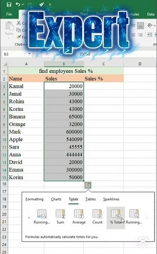 Present Multiple Sales in Excel Professionally | Expert Tips & Shortcuts | Digital Office Skill