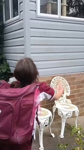 I just concentrated happiness with Mr Grumpy the Ragdoll cat. #น่ารัก #ความสุข #สาวน้อย | Miss Bossy