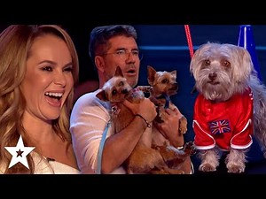OOPS! When Animal Auditions Go Wrong! | Got Talent Global