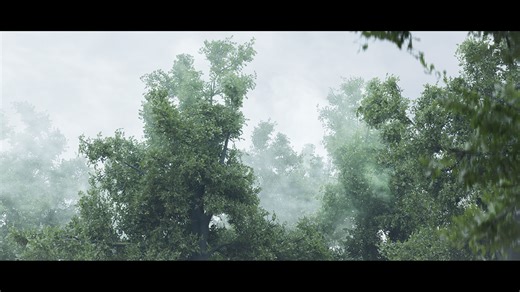 Oak Tree – 3D model - David Jurion