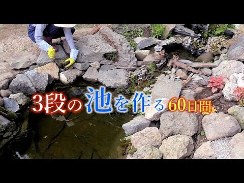 3段の池を作る！60日間の記録「ロックガーデンのビオトープ」