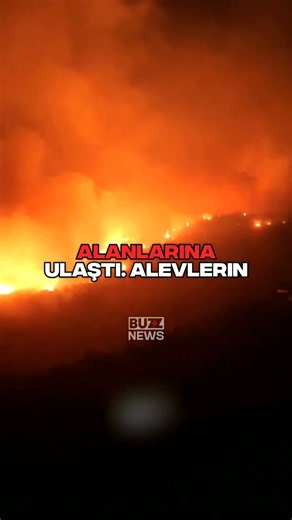 Çine'de yangın evlere dayandı, ekipler rüzgara karşı savaşıyor