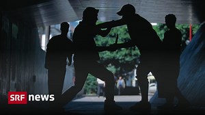 Dirk Baier: Wachsende Kriminalität in der Schweiz