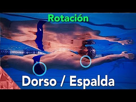 Técnica de dorso. Rotación de hombros. Como nadar mejor. Espalda