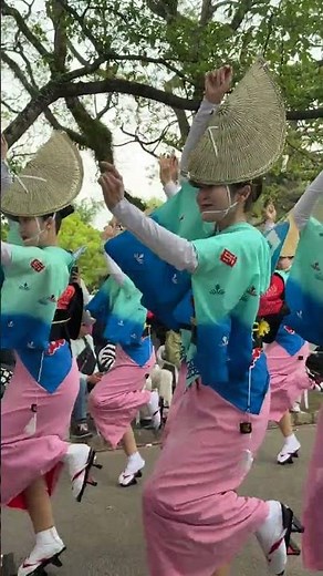Yatsuren 2026 Spring Festival "Tokushima Castle Awa Odori" #shorts