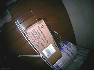 Telescopic Pole Camera